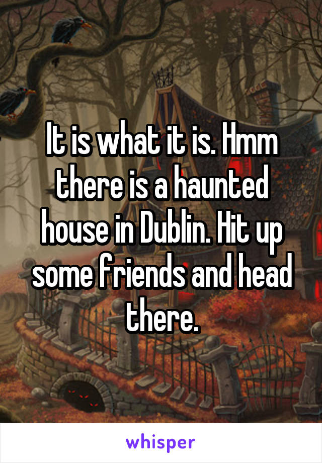 It is what it is. Hmm there is a haunted house in Dublin. Hit up some friends and head there.