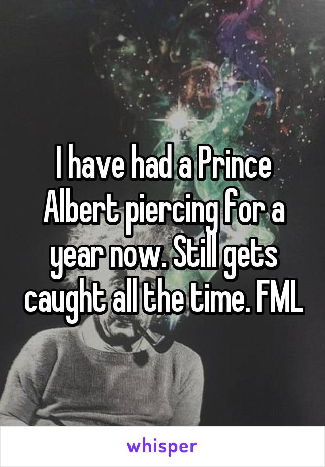 I have had a Prince Albert piercing for a year now. Still gets caught all the time. FML