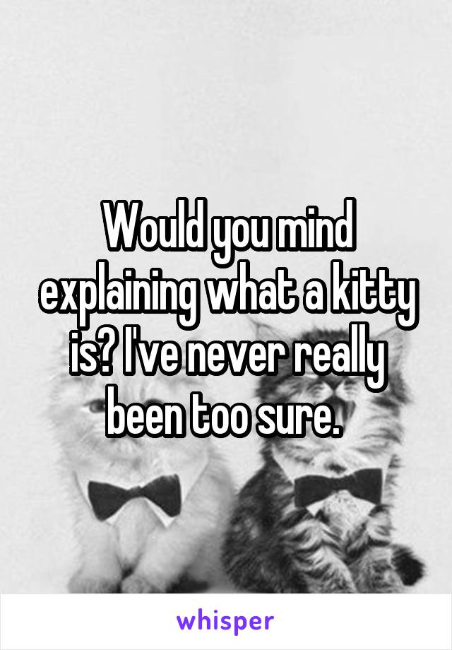 Would you mind explaining what a kitty is? I've never really been too sure. 
