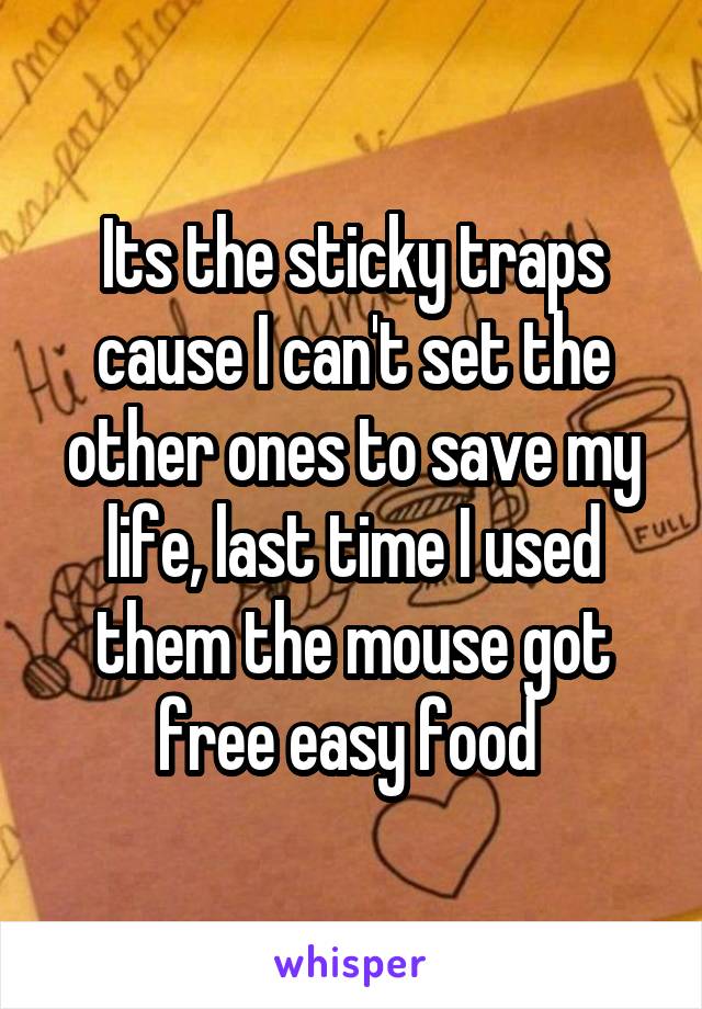 Its the sticky traps cause I can't set the other ones to save my life, last time I used them the mouse got free easy food 