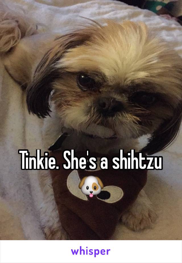 Tinkie. She's a shihtzu 🐶