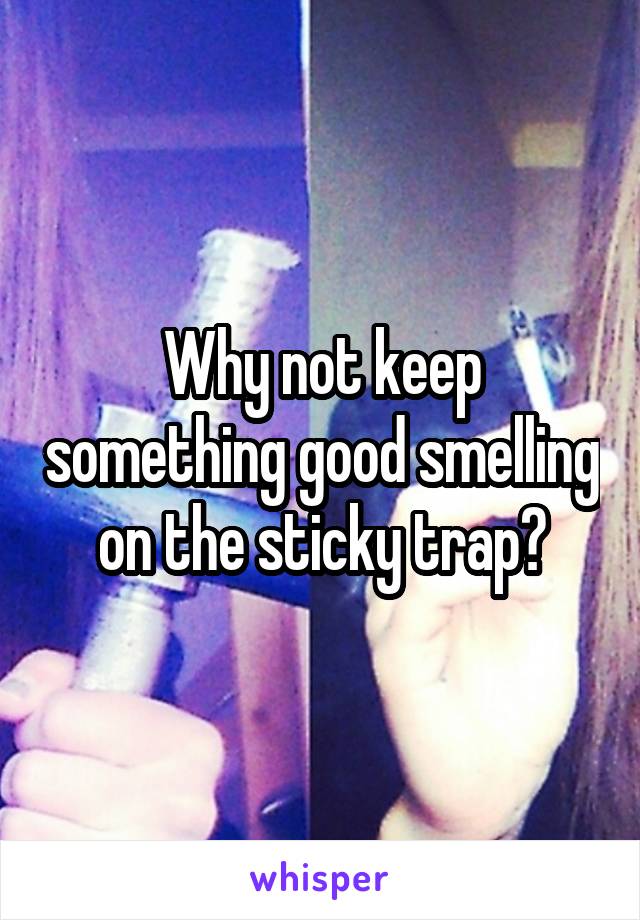 Why not keep something good smelling on the sticky trap?