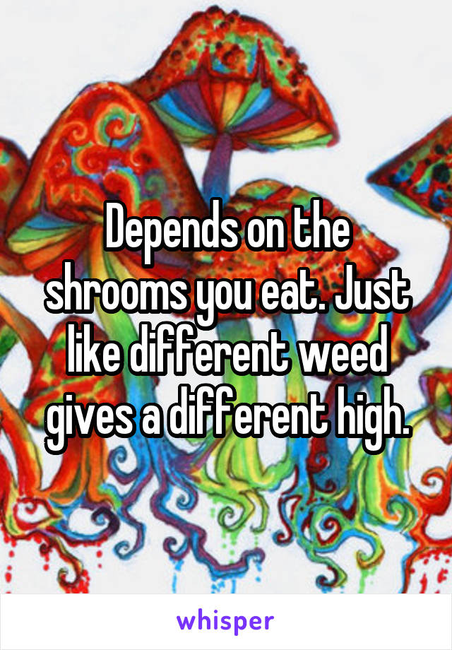 Depends on the shrooms you eat. Just like different weed gives a different high.