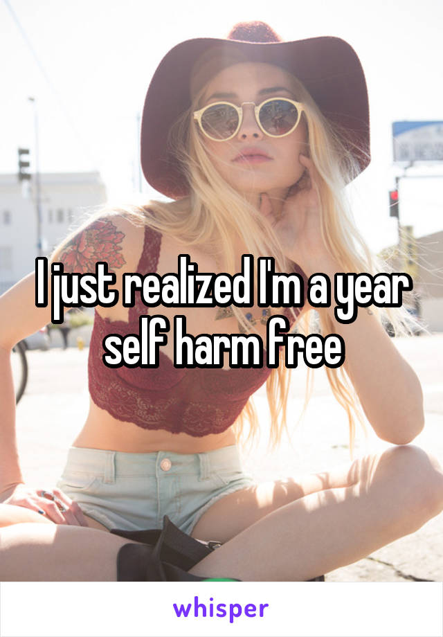 I just realized I'm a year self harm free