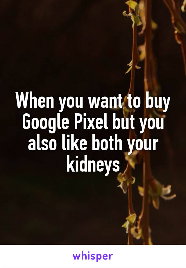 When you want to buy Google Pixel but you also like both your kidneys