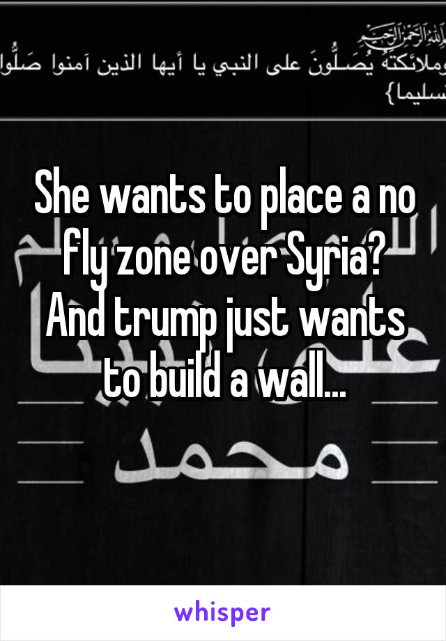 She wants to place a no fly zone over Syria?
And trump just wants to build a wall...
