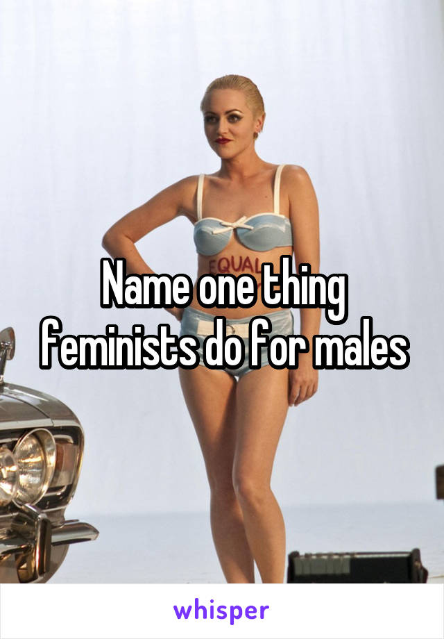 Name one thing feminists do for males