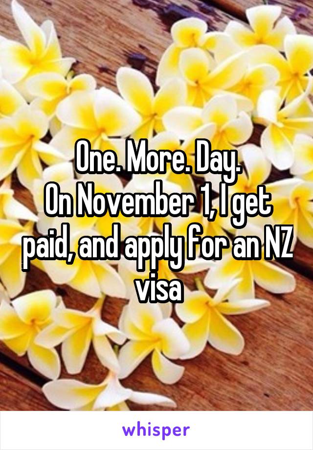 One. More. Day.
On November 1, I get paid, and apply for an NZ visa