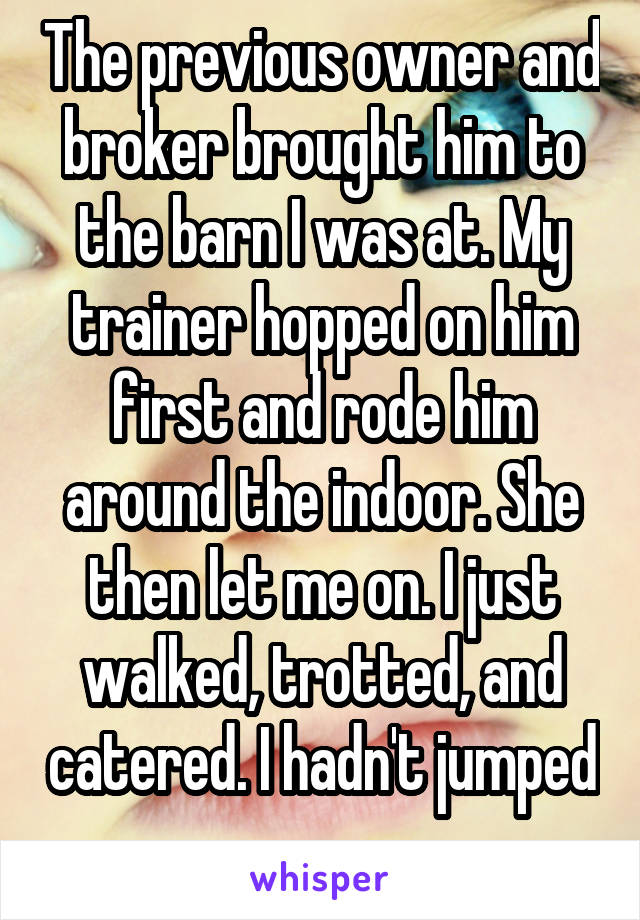 The previous owner and broker brought him to the barn I was at. My trainer hopped on him first and rode him around the indoor. She then let me on. I just walked, trotted, and catered. I hadn't jumped 