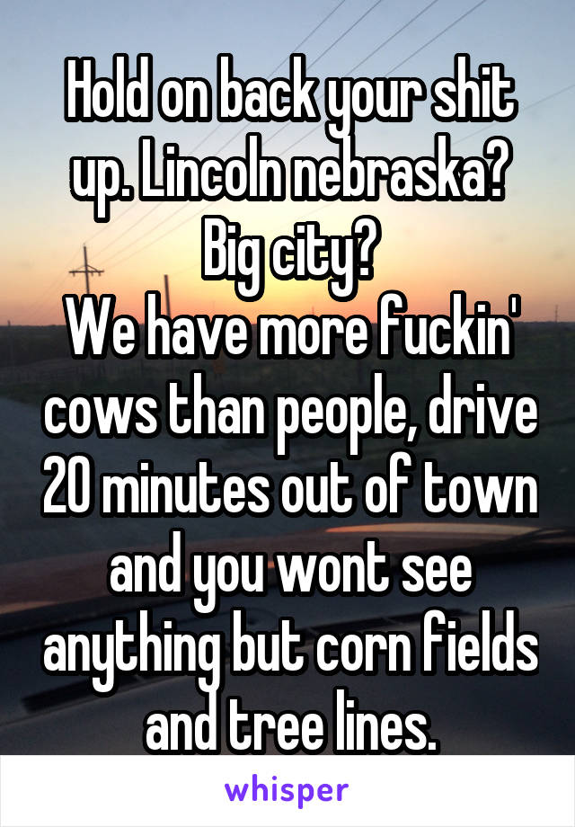 Hold on back your shit up. Lincoln nebraska? Big city?
We have more fuckin' cows than people, drive 20 minutes out of town and you wont see anything but corn fields and tree lines.