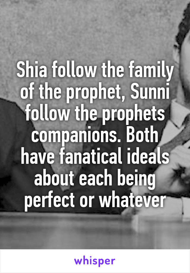 Shia follow the family of the prophet, Sunni follow the prophets companions. Both have fanatical ideals about each being perfect or whatever