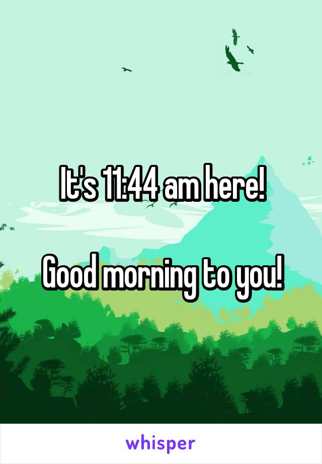 It's 11:44 am here!

Good morning to you!