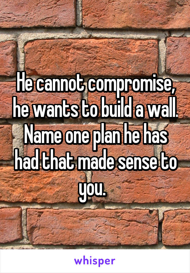 He cannot compromise, he wants to build a wall. Name one plan he has had that made sense to you.  