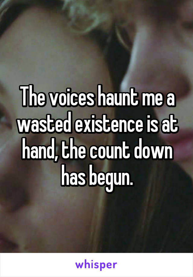 The voices haunt me a wasted existence is at hand, the count down has begun.