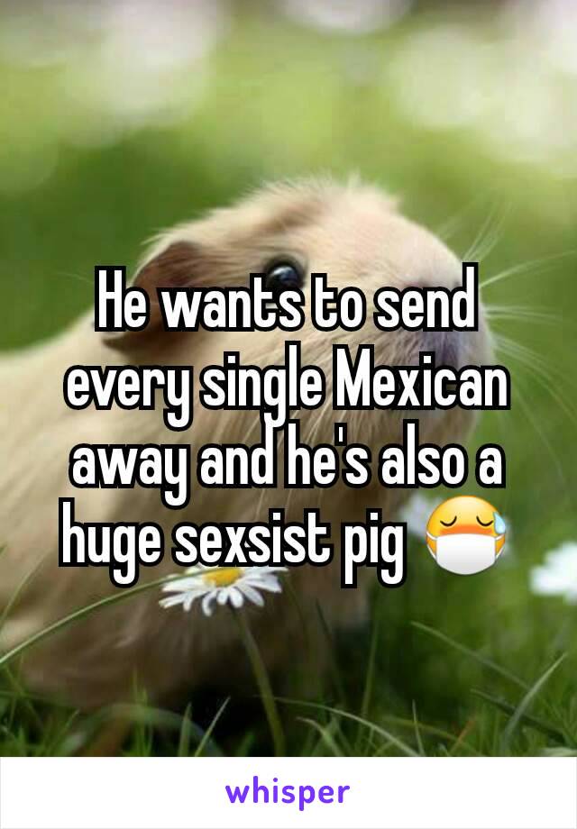 He wants to send every single Mexican away and he's also a huge sexsist pig 😷