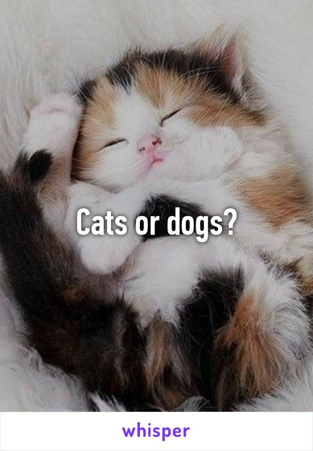 Cats or dogs?