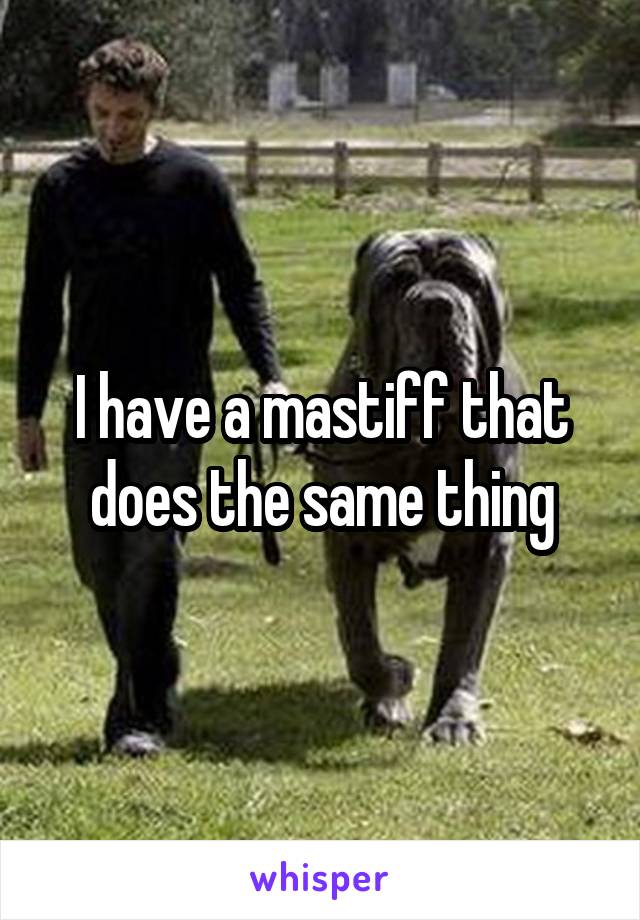 I have a mastiff that does the same thing