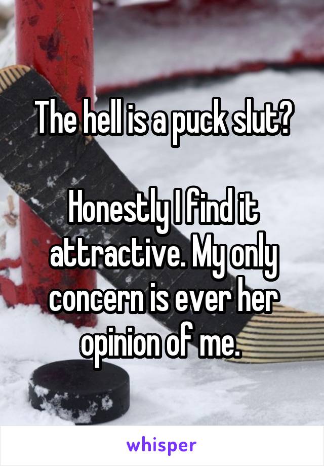 The hell is a puck slut?

Honestly I find it attractive. My only concern is ever her opinion of me. 