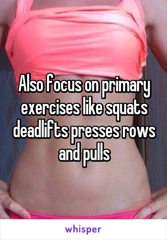 Also focus on primary exercises like squats deadlifts presses rows and pulls