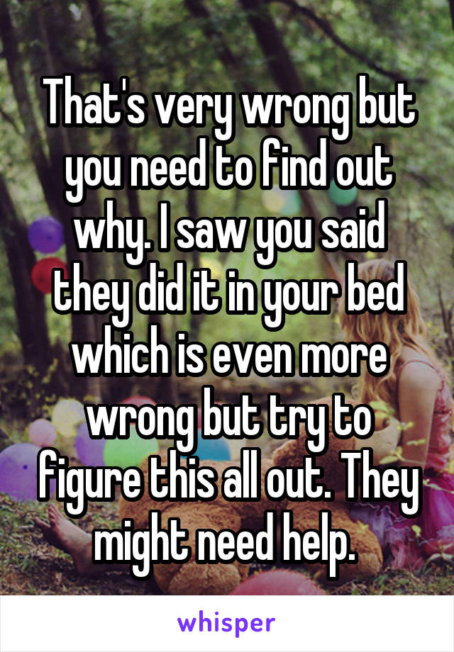 That's very wrong but you need to find out why. I saw you said they did it in your bed which is even more wrong but try to figure this all out. They might need help. 