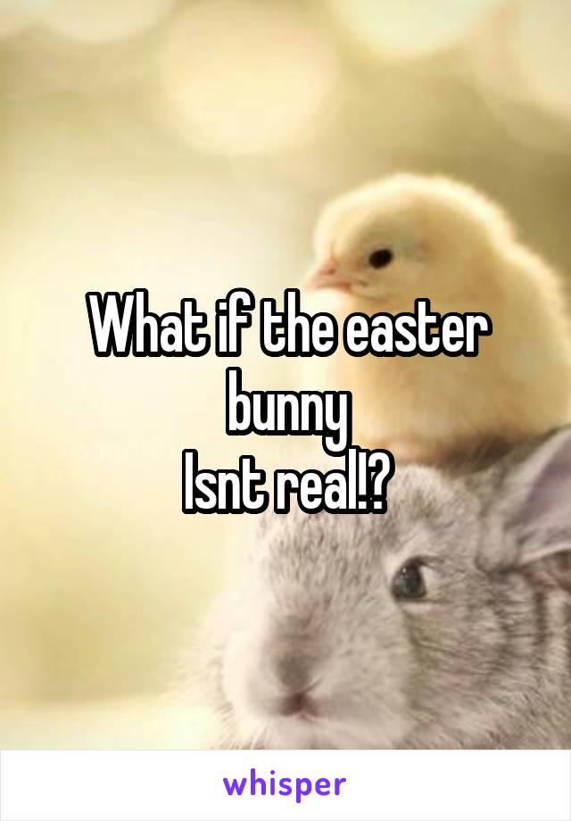 What if the easter bunny
Isnt real!?