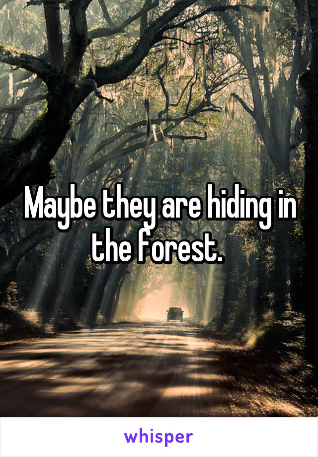 Maybe they are hiding in the forest. 