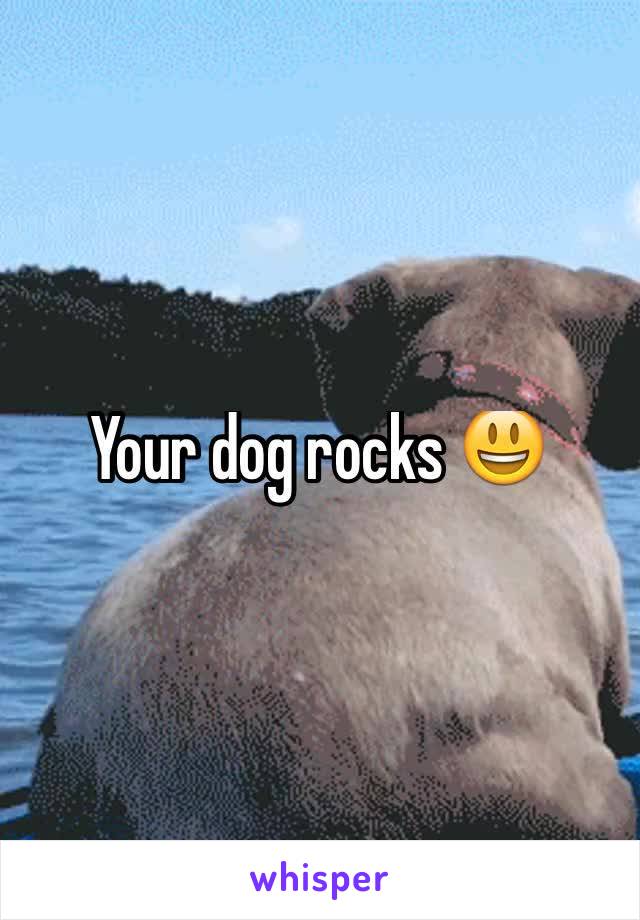 Your dog rocks 😃