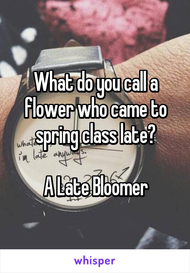 What do you call a flower who came to spring class late?

A Late Bloomer