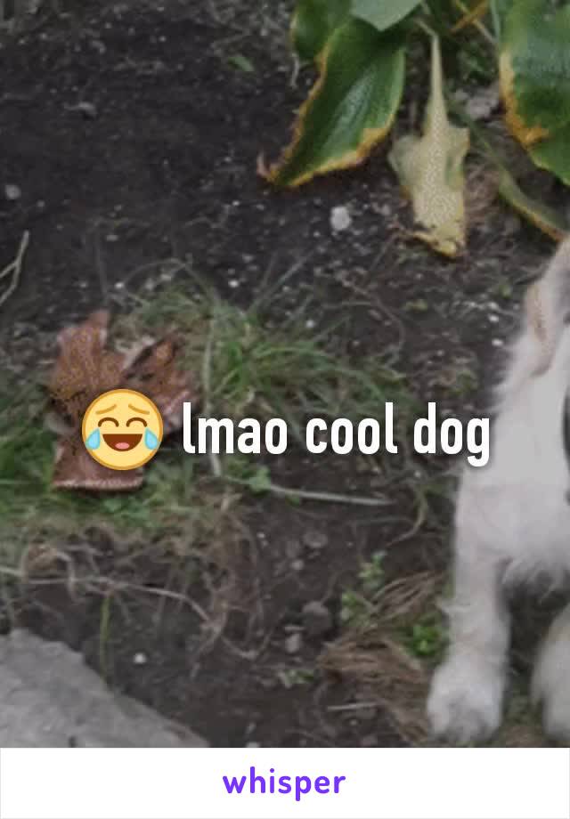 😂 lmao cool dog