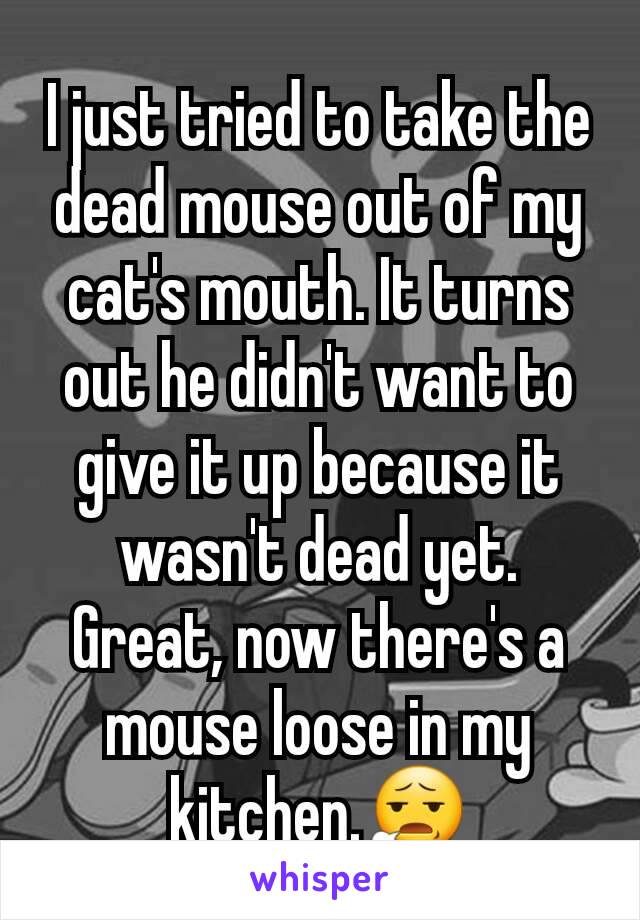 I just tried to take the dead mouse out of my cat's mouth. It turns out he didn't want to give it up because it wasn't dead yet.
Great, now there's a mouse loose in my kitchen.😧