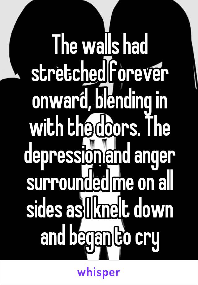 The walls had stretched forever onward, blending in with the doors. The depression and anger surrounded me on all sides as I knelt down and began to cry