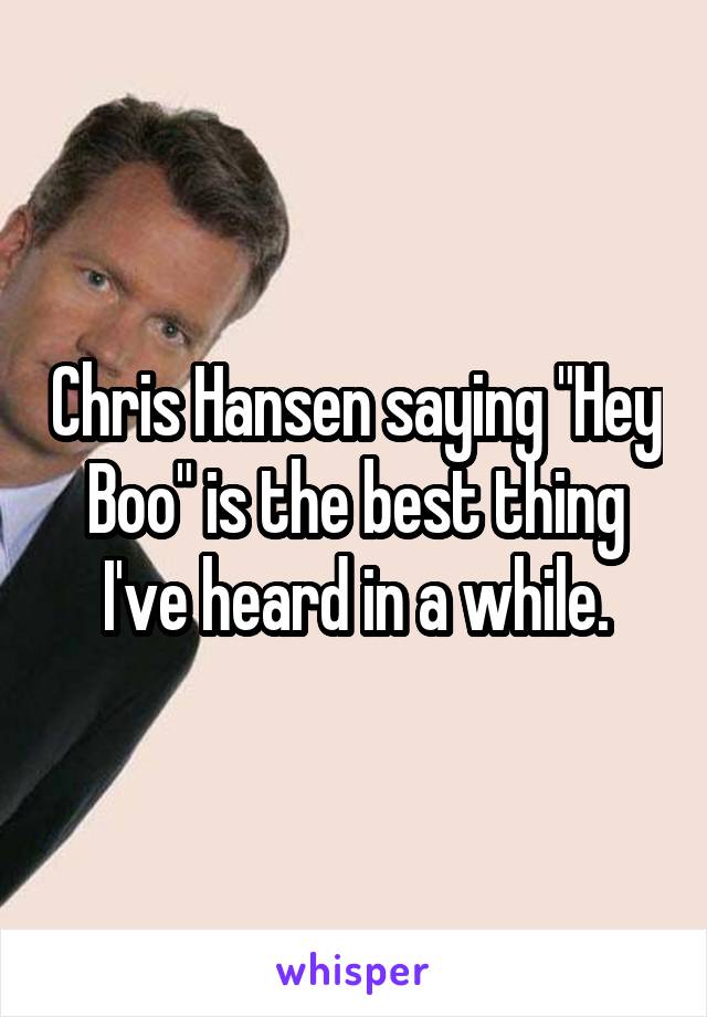 Chris Hansen saying "Hey Boo" is the best thing I've heard in a while.