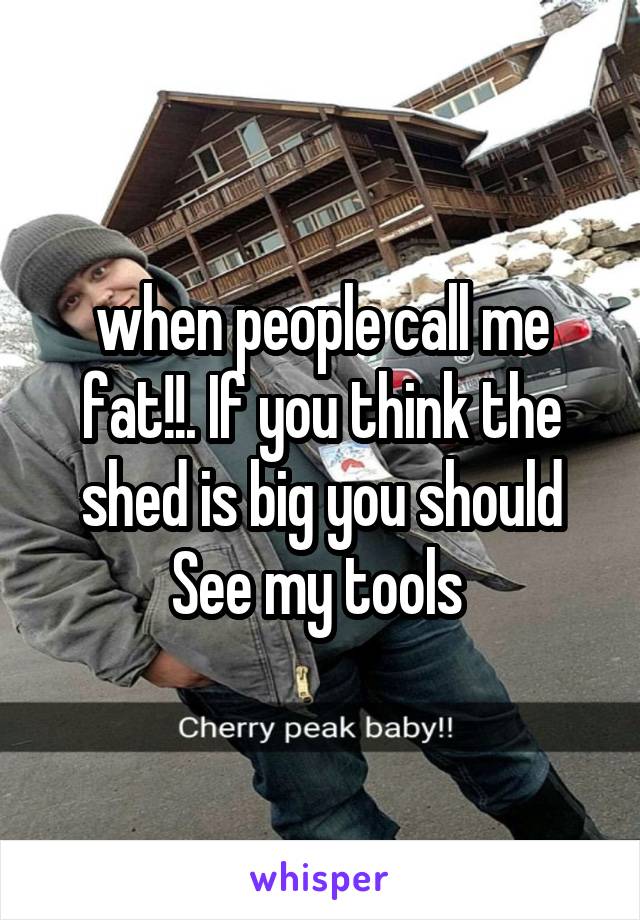 when people call me fat!!. If you think the shed is big you should See my tools 