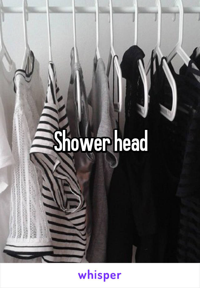 Shower head