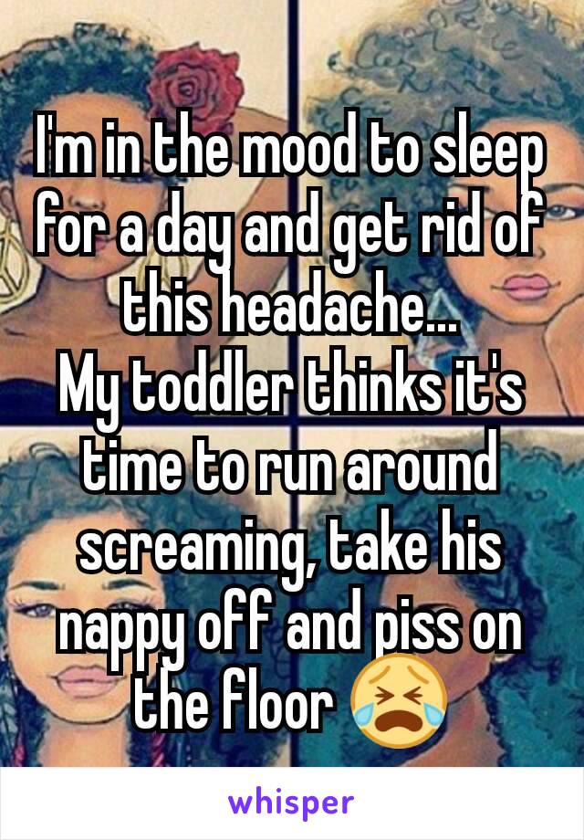 I'm in the mood to sleep for a day and get rid of this headache...
My toddler thinks it's time to run around screaming, take his nappy off and piss on the floor 😭