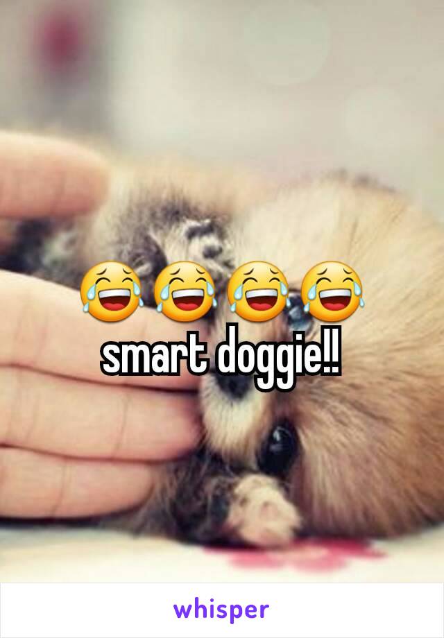 😂😂😂😂 smart doggie!!