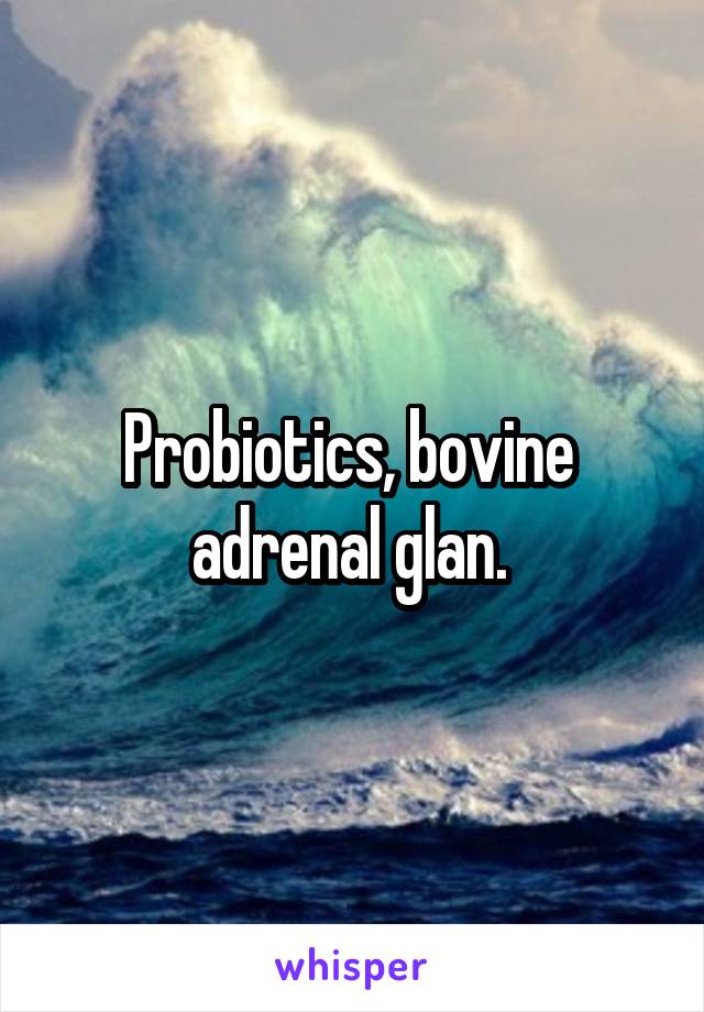 Probiotics, bovine  adrenal glan. 