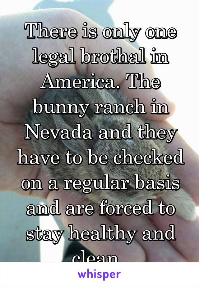 There is only one legal brothal in America. The bunny ranch in Nevada and they have to be checked on a regular basis and are forced to stay healthy and clean. 