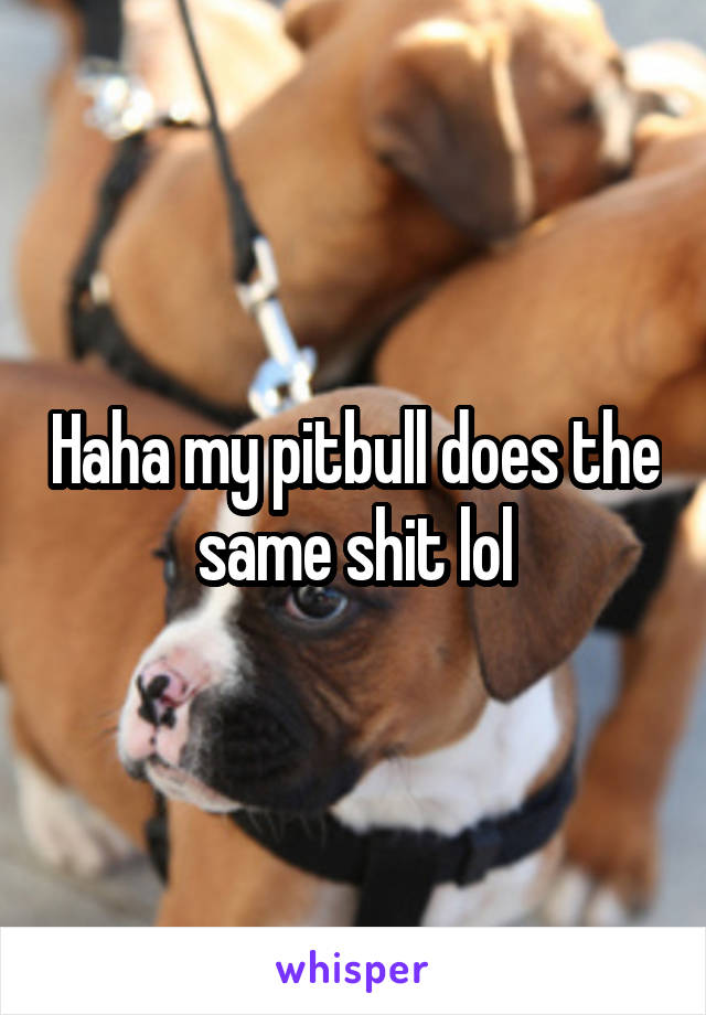 Haha my pitbull does the same shit lol