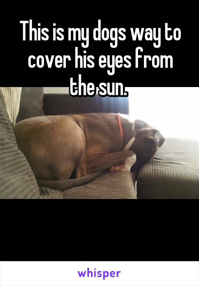 This is my dogs way to cover his eyes from the sun. 





