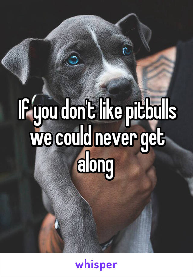 If you don't like pitbulls we could never get along 