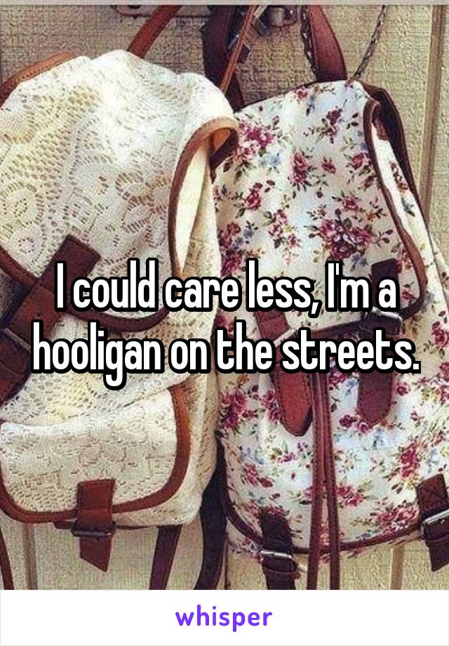 I could care less, I'm a hooligan on the streets.