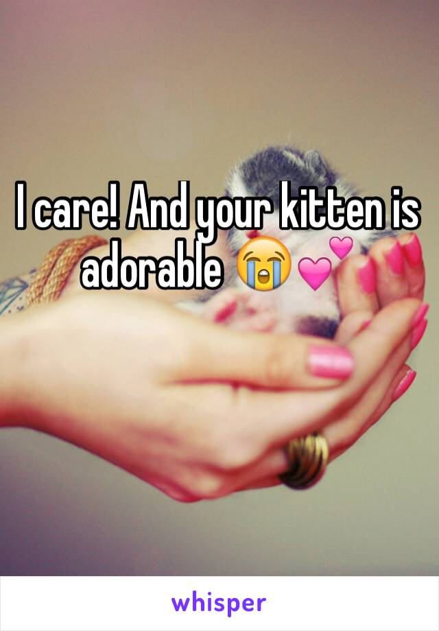 I care! And your kitten is adorable 😭💕