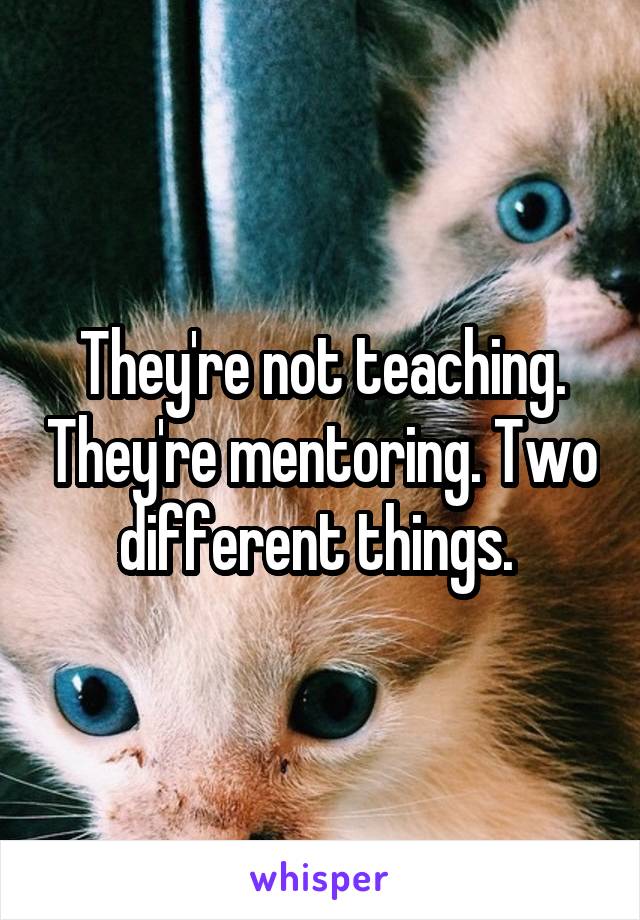 They're not teaching. They're mentoring. Two different things. 