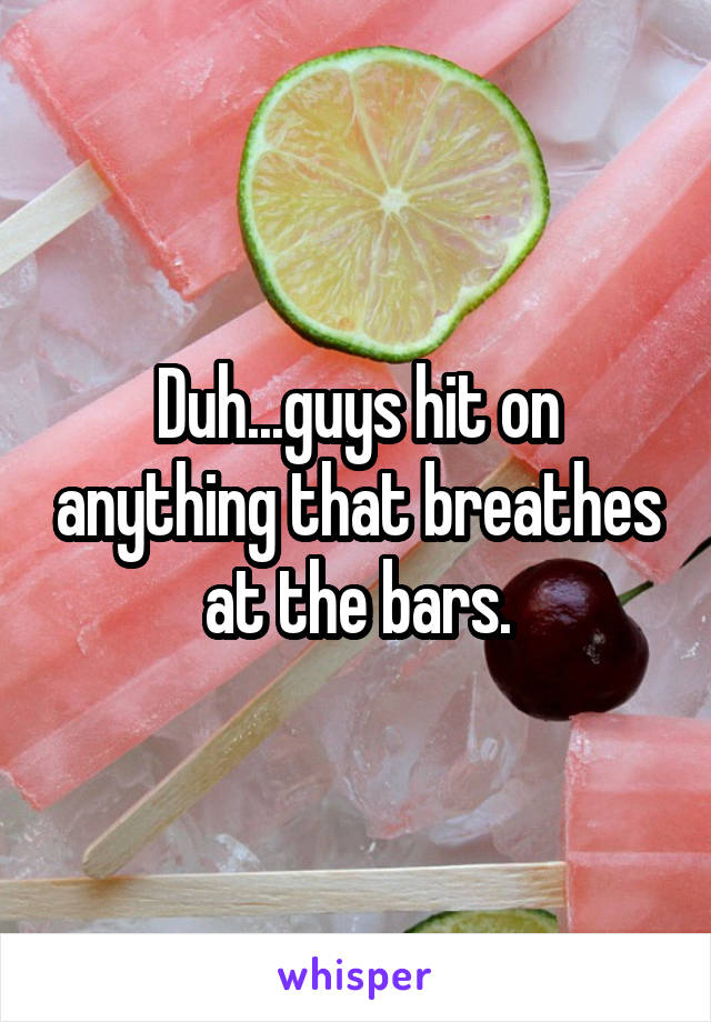 Duh...guys hit on anything that breathes at the bars.
