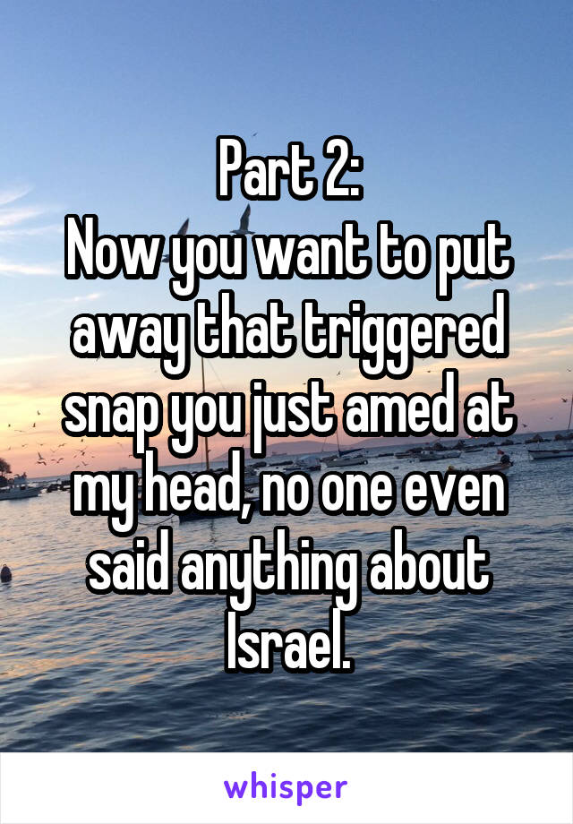 Part 2:
Now you want to put away that triggered snap you just amed at my head, no one even said anything about Israel.