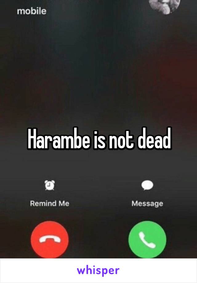 Harambe is not dead