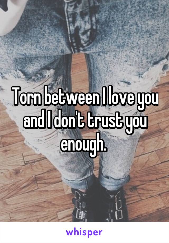 Torn between I love you and I don't trust you enough. 