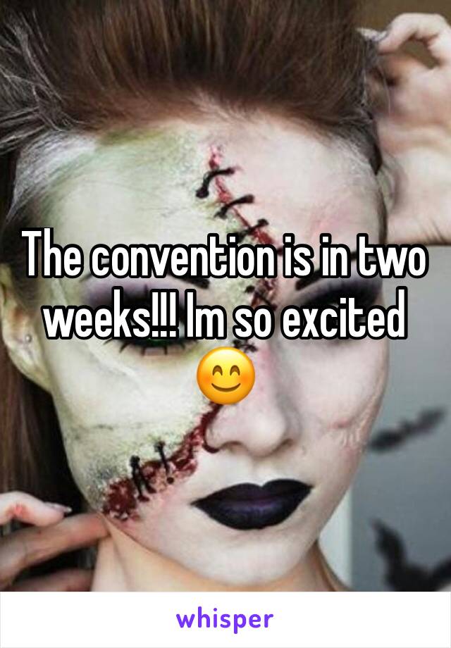 The convention is in two weeks!!! Im so excited 😊