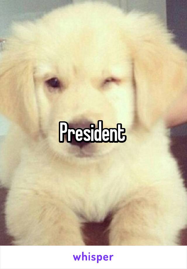 President 